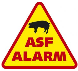 ostrzeżenie o ASF
